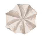 peppermint meringue