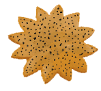 poppy-seed cookie