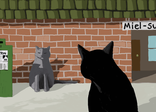Turning around, she saw a large gray cat blinking at her.