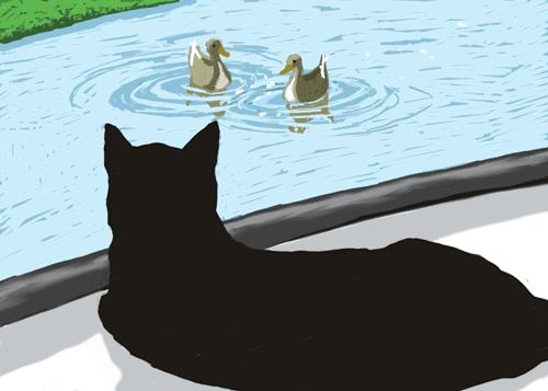 Tate woke at lunchtime to the sound of ducks quacking.