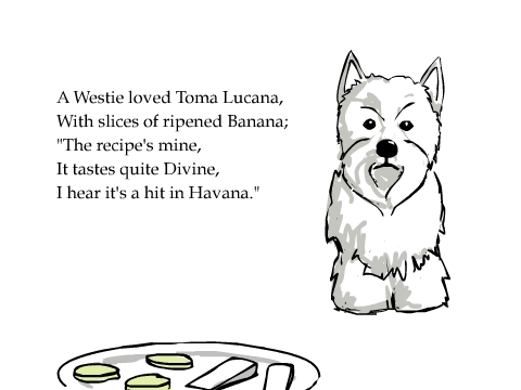A Westie loved Toma Lucana,
With slices of ripened Banana;
'The recipe's mine,
It tastes quite Divine,
I hear it's a hit in Havana.'